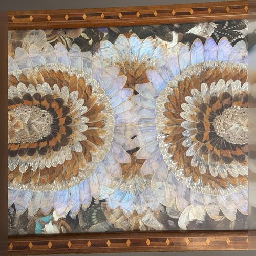 Antique edwardian butterfly - edwardian,
