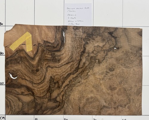 English walnut burr swirl - english,