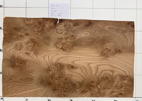 Burr elm veneer sheets 58cm - elm,